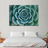Live Succulent Wall Art