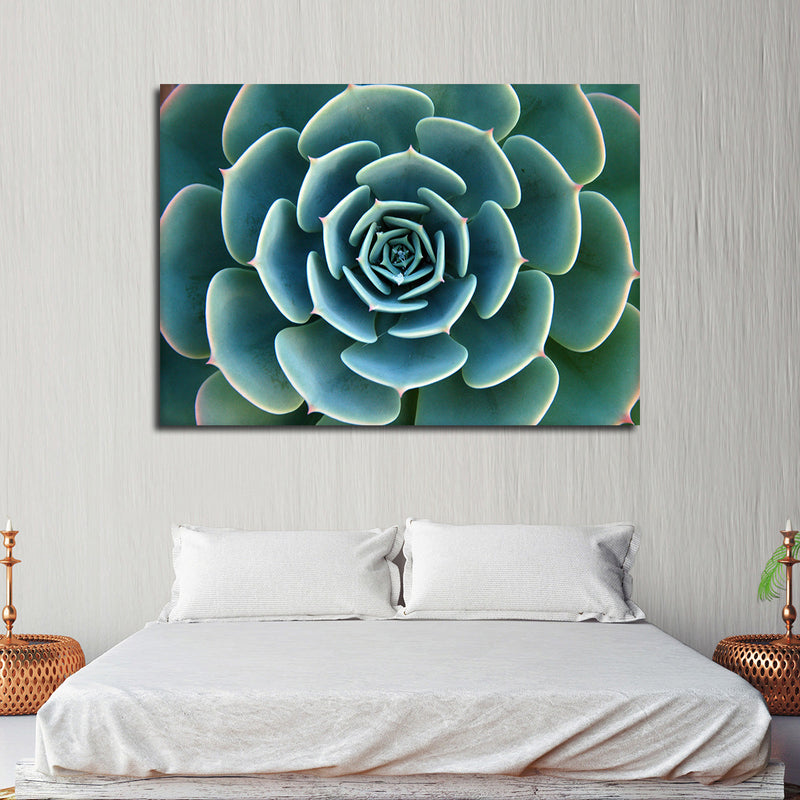 Live Succulent Wall Art