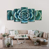 Live Succulent Wall Art