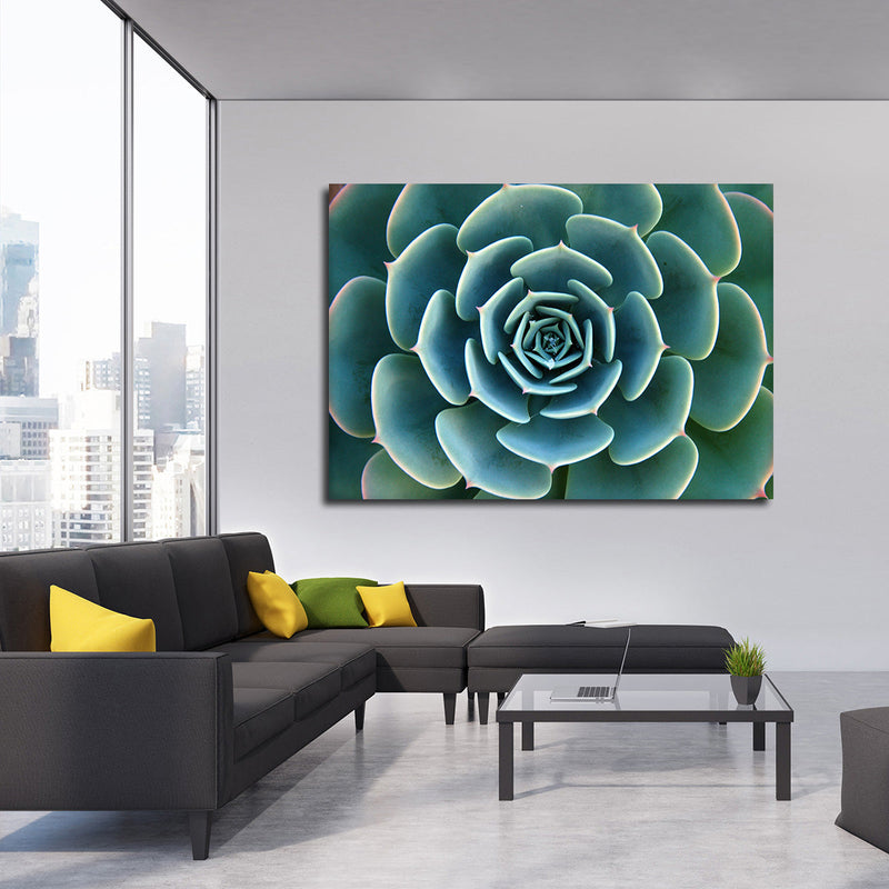 Live Succulent Wall Art