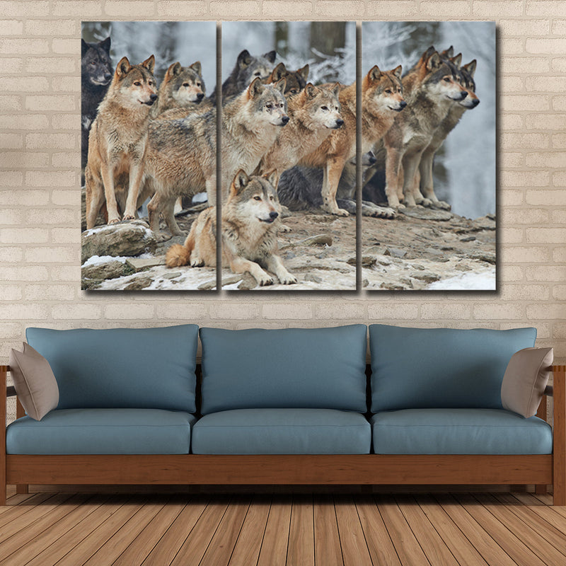 Wild Wolf Pack Wall Art