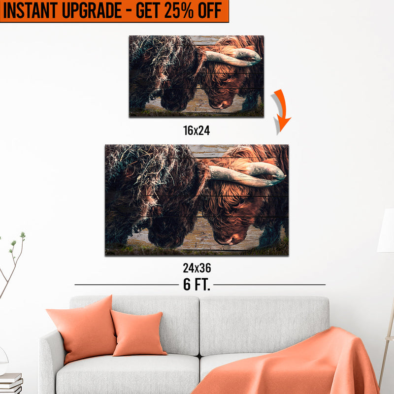 Upgrade Your 24x16 Inches 'Highland Cow Sparring' Canvas To 36x24 Inches