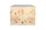 Chloe Burl Coffee Table
