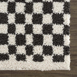 Kieu Black & White Checkered Area Rug