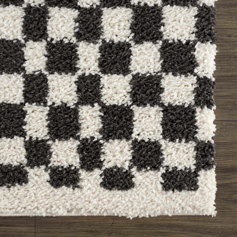 Kieu Black & White Checkered Area Rug