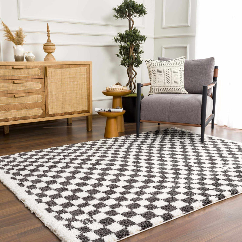 Kieu Black & White Checkered Area Rug