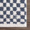 Kieu Blue & White Checkered Area Rug