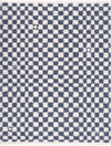 Kieu Blue & White Checkered Area Rug
