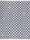 Kieu Blue & White Checkered Area Rug