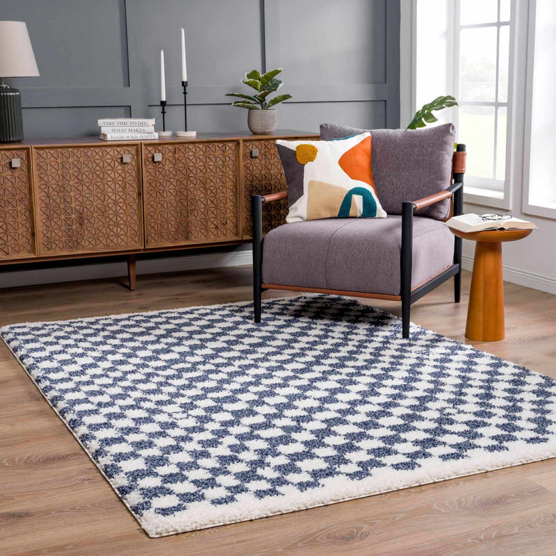 Kieu Blue & White Checkered Area Rug