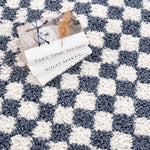 Kieu Blue & White Checkered Area Rug