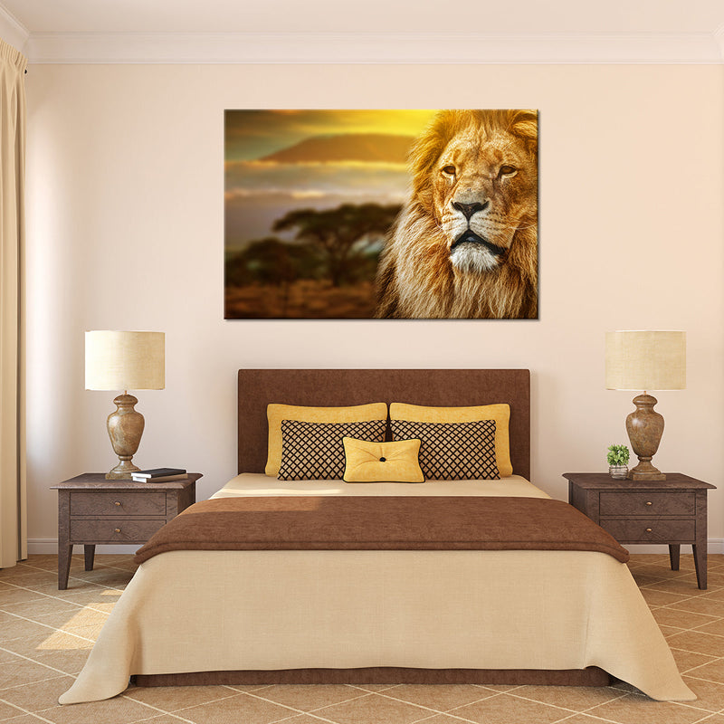 Lion In African Safari Wall Art
