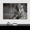 Jaguar Eyes Pop Wall Art