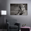Jaguar Eyes Pop Wall Art