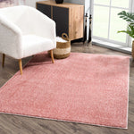 Judy Pink Washable Plush Rug