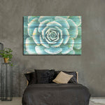 Succulent Plant Bloom Wall Art