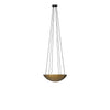 Branson Aged Brass Iron Chandelier | shipping 8/31/2025
