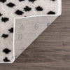 Cansu Black & White Area Rug