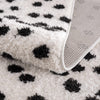 Cansu Black & White Area Rug