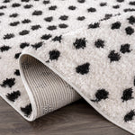 Cansu Black & White Area Rug