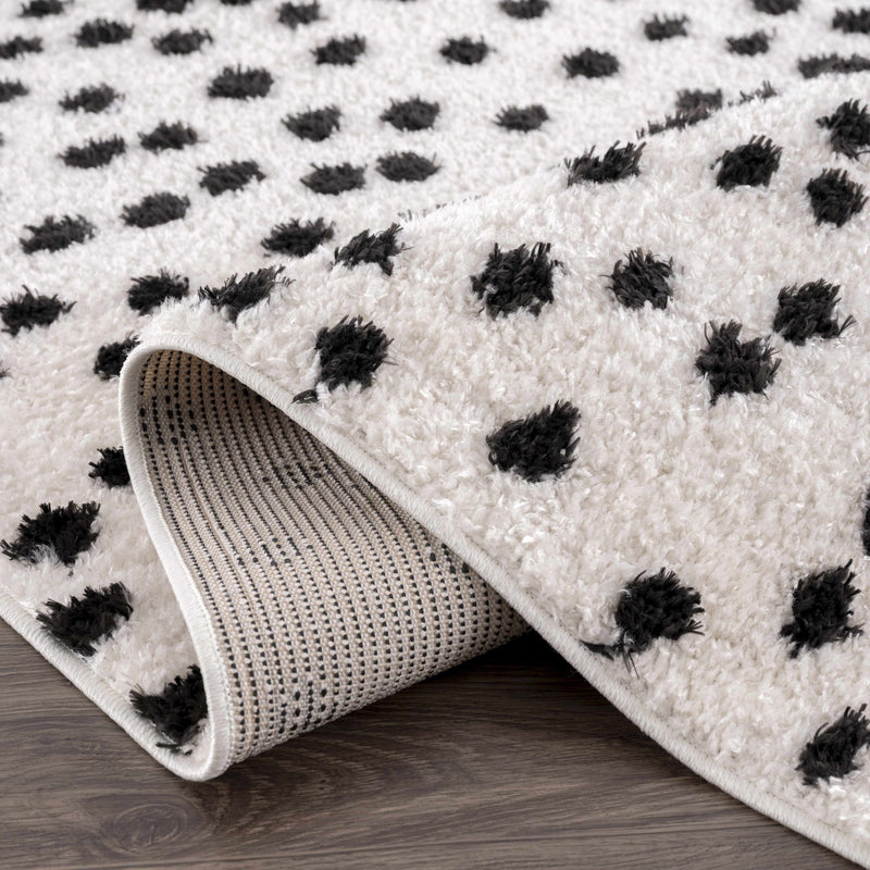 Cansu Black & White Area Rug