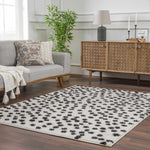 Cansu Black & White Area Rug
