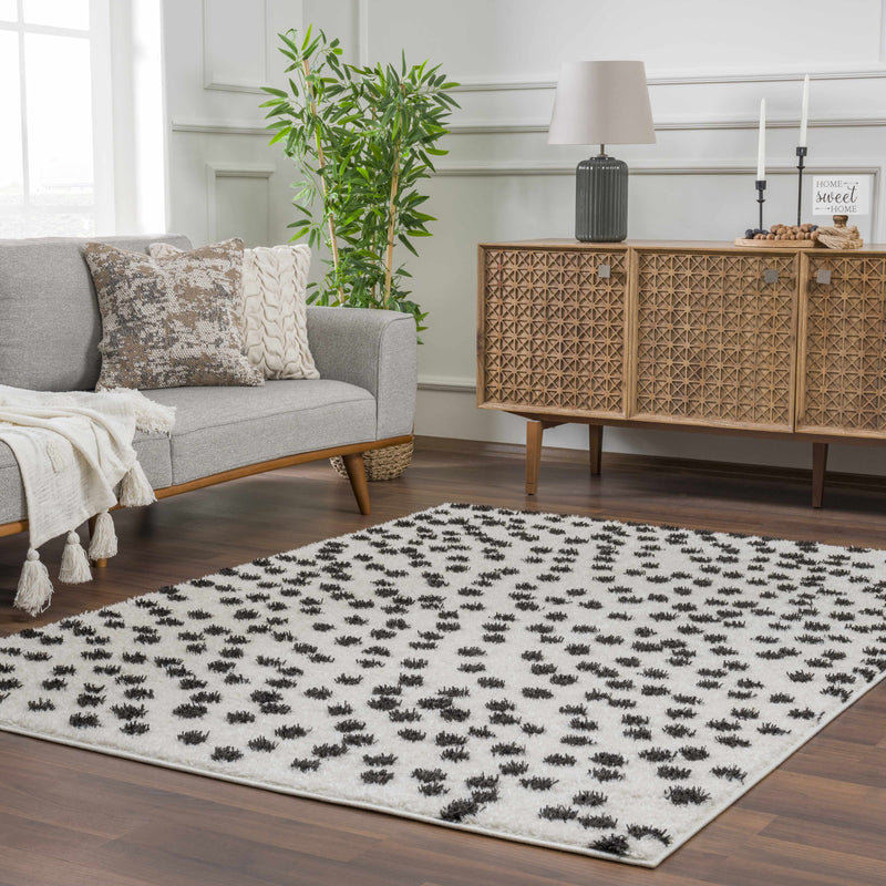 Cansu Black & White Area Rug