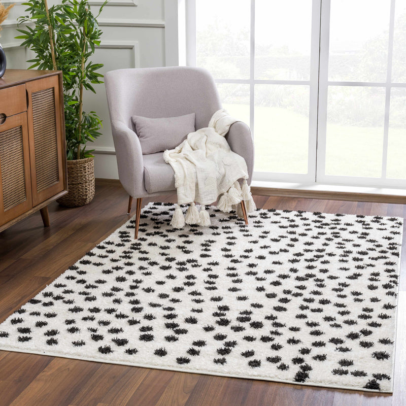 Cansu Black & White Area Rug