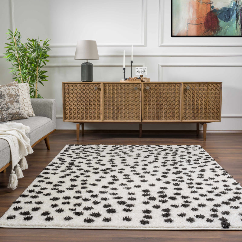 Cansu Black & White Area Rug