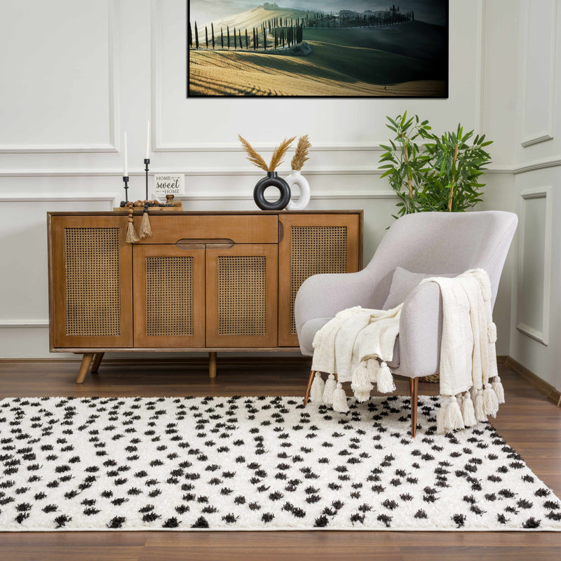 Cansu Black & White Area Rug