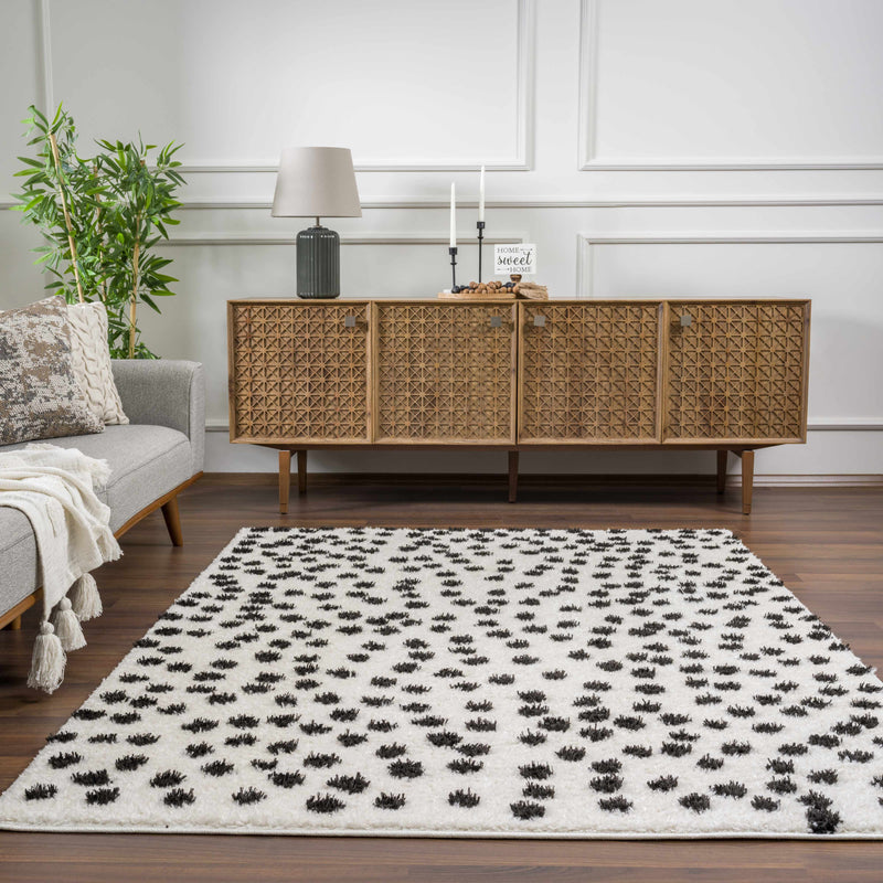 Cansu Black & White Area Rug