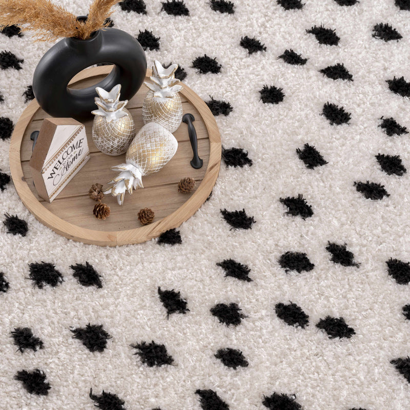 Cansu Black & White Area Rug