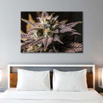 Marijuana In Winter Wall Art