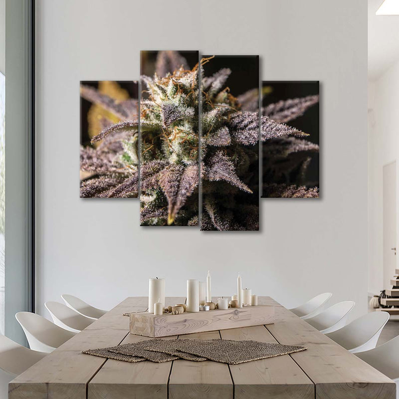 Marijuana In Winter Wall Art