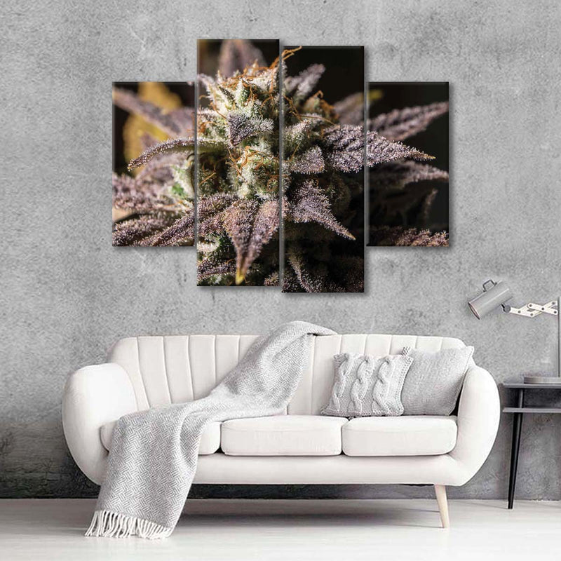 Marijuana In Winter Wall Art