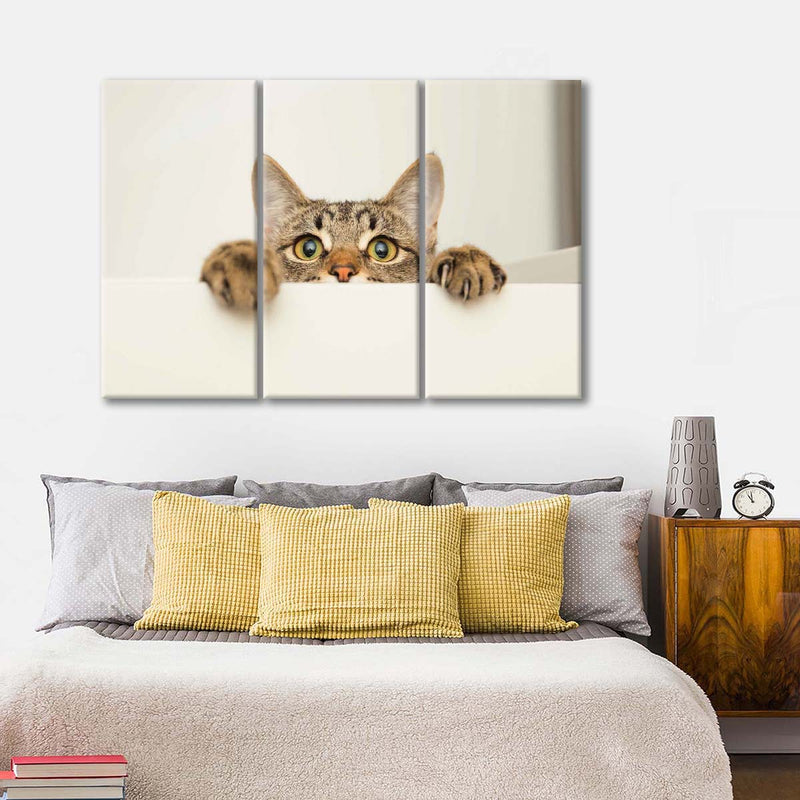Peeking Young Cat Wall Art