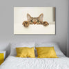 Peeking Young Cat Wall Art