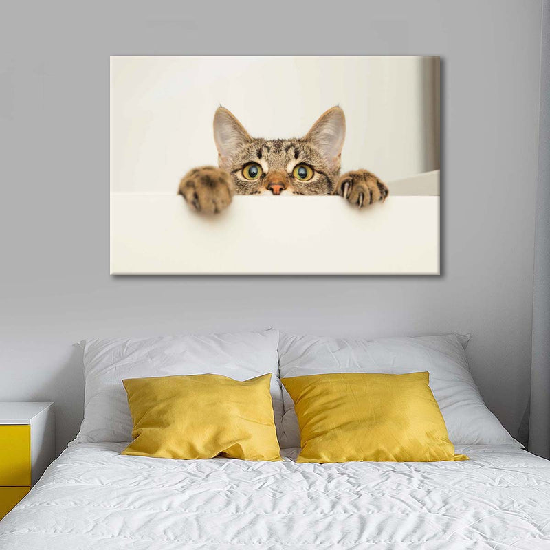 Peeking Young Cat Wall Art