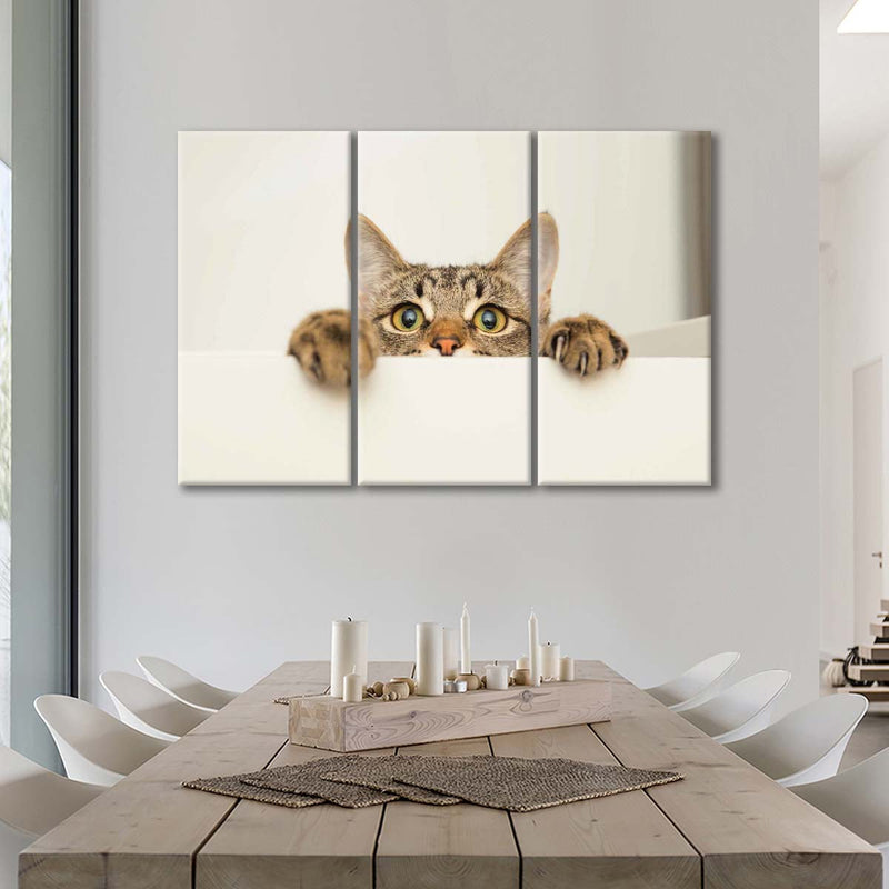 Peeking Young Cat Wall Art