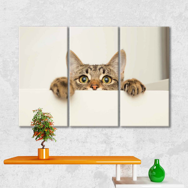 Peeking Young Cat Wall Art