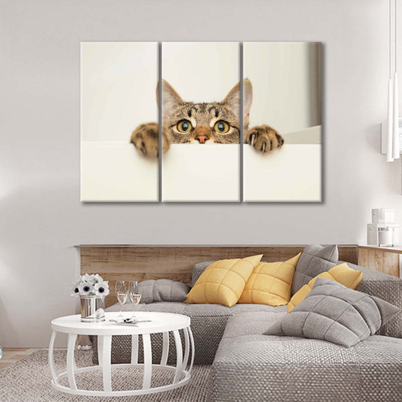 Peeking Young Cat Wall Art
