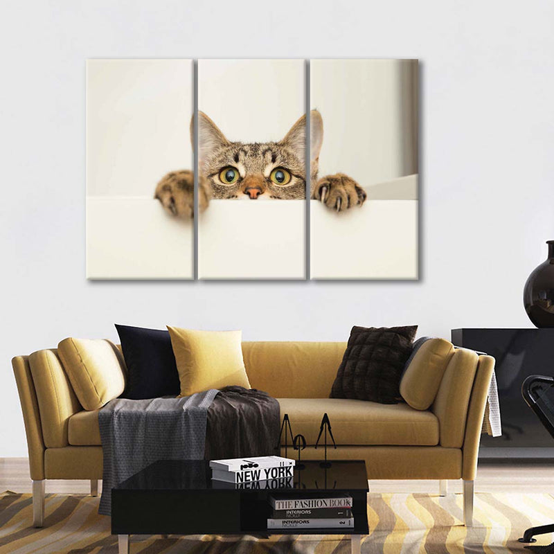 Peeking Young Cat Wall Art