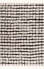 Teshi Checkered Area Rug