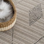 Lexi Area Rug