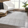 Tigrican Gray 2330 Area Rug