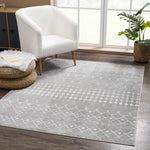 Tigrican Gray 2330 Area Rug