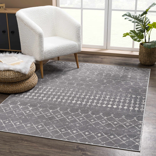 Tigrican Charcoal 2329 Area Rug