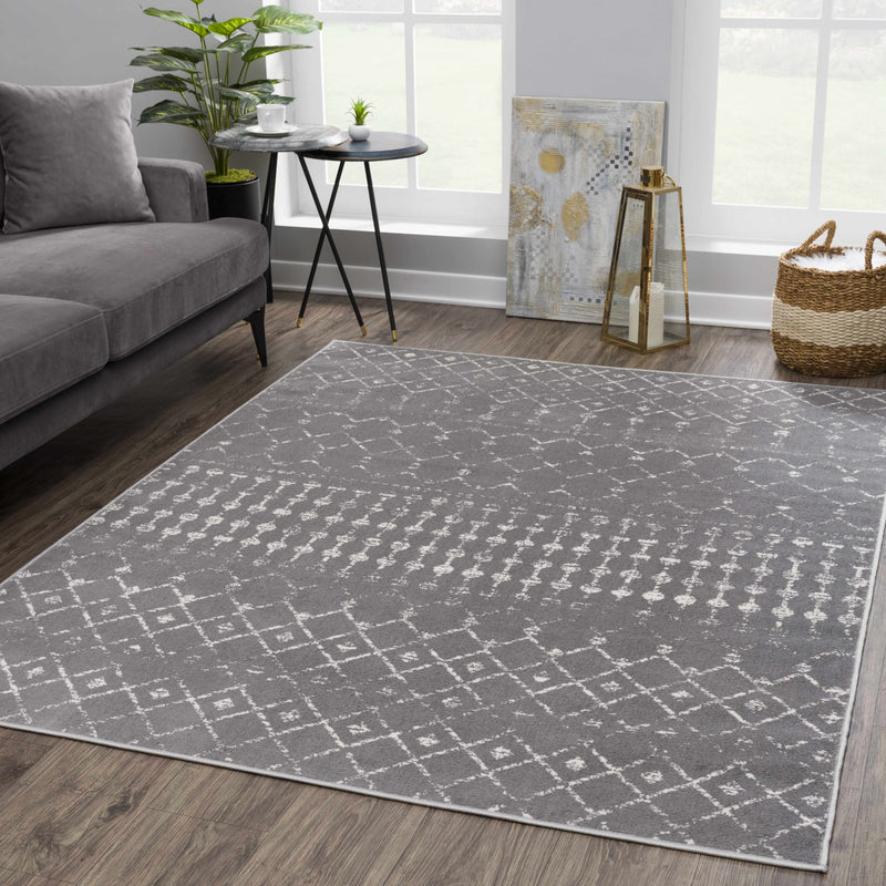 Tigrican Charcoal 2329 Area Rug