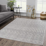 Tigrican Gray 2330 Area Rug