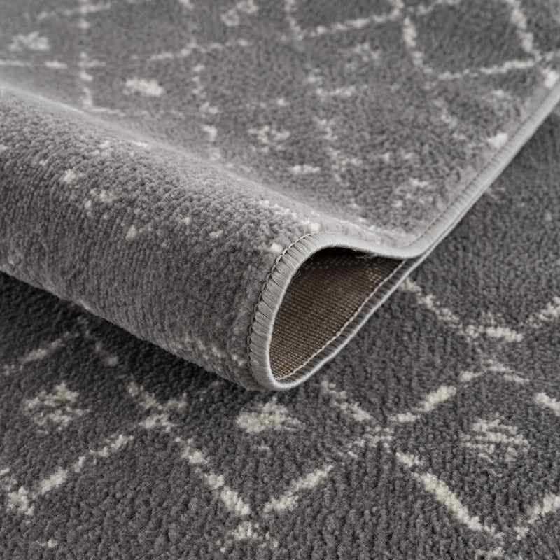 Tigrican Charcoal 2329 Area Rug